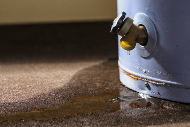 Best 24-hour water damage restoration  in Odon, IN