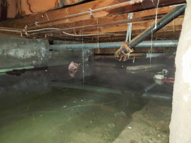 Best Water damage restoration near me  in Odon, IN