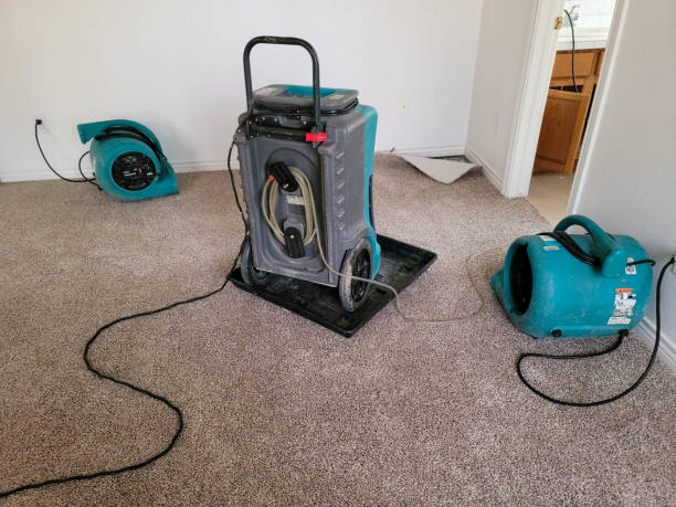 Best Flood damage cleanup  in Odon, IN