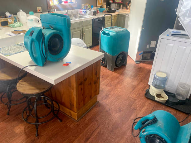 Best Fire Damage Restoration  in Odon, IN