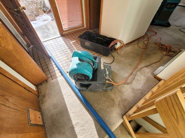 Odon, IN Water damage restoration Company
